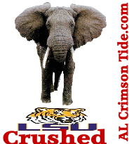 LSU-crushed-by-elephant