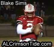 blakesims