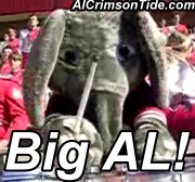 Big Al mascot of the University of Alabama