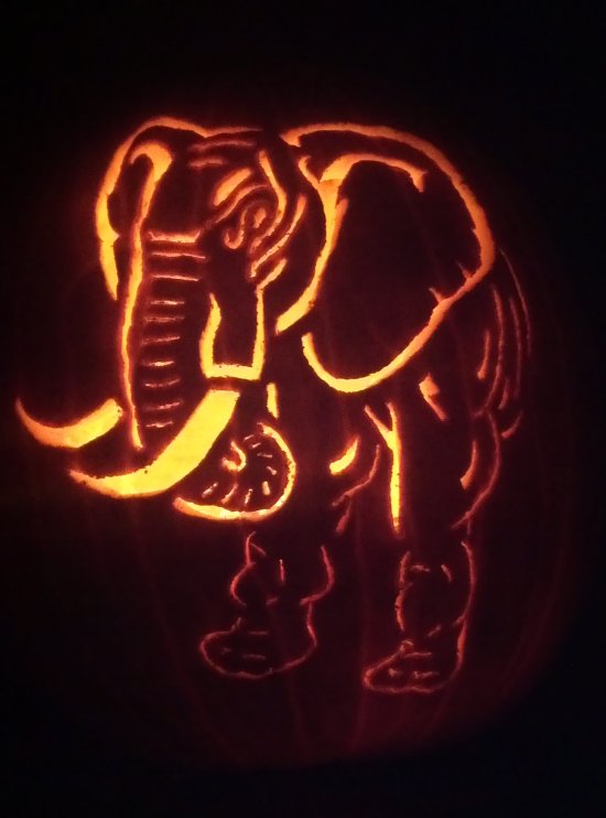 cool alabama elephant pumpkin