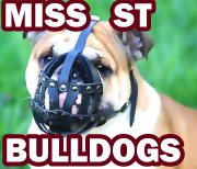 mississippi state bulldaogs muzzled
